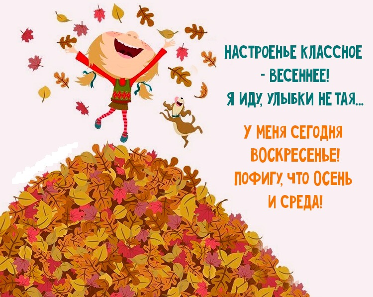 Приколы об осени в картинках